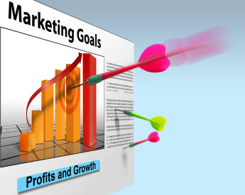 Eagan SEO Marketing Goals